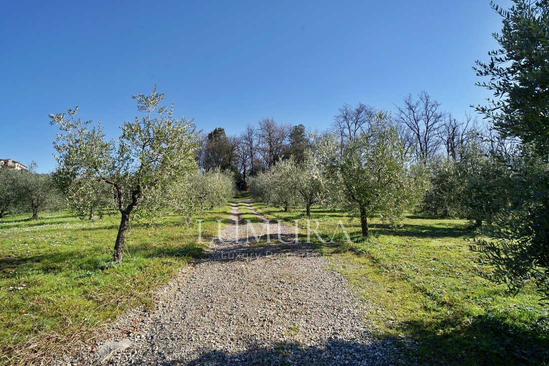 Villa in Area Monte San Quirico - Sant'Alessio, Lucca, Tuscany 5 - 13829123