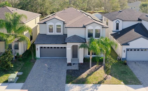 House in Tampa, Florida, United States 1