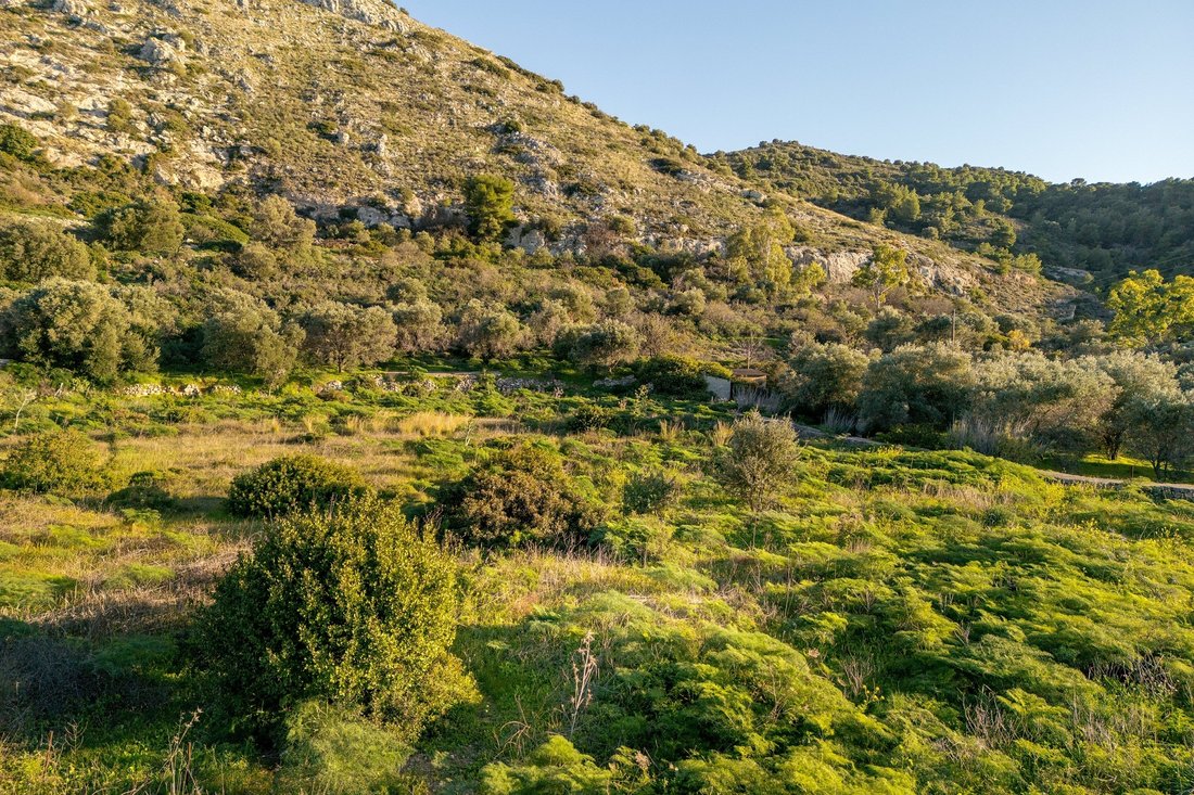 Land in Aegina, Attica, Greece 3 - 13833764