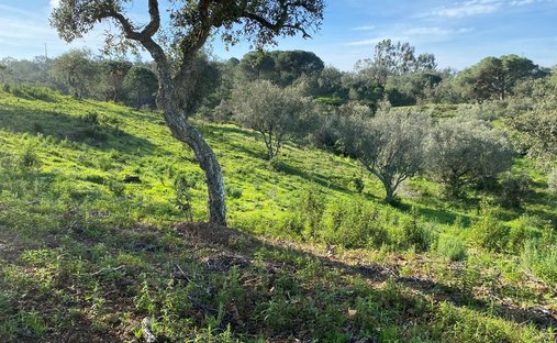Land in Melides, Setúbal Municipality, Portugal 1