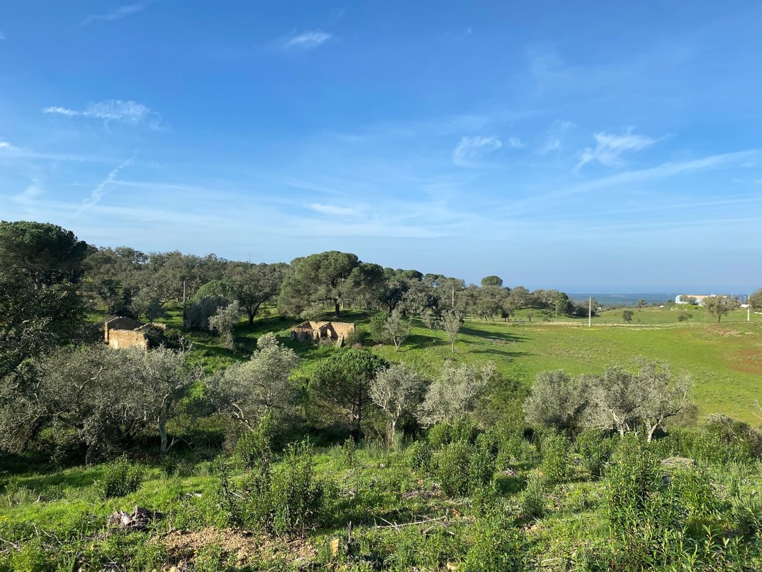 Land in Melides, Setubal, Portugal 4 - 13829557