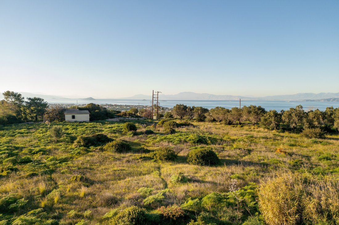Land in Aegina, Attica, Greece 2 - 13833764