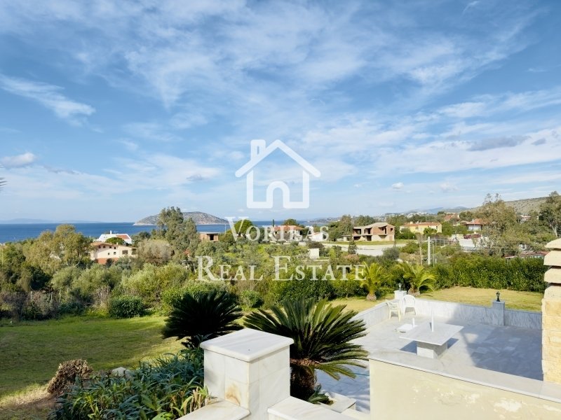 Villa in Palea Fokea, Attica, Greece 2 - 13830192