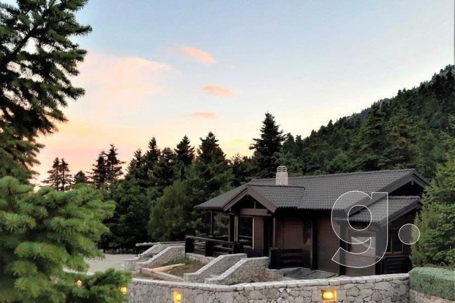 Villa in Arachova, Thessaly and Central Greece, Greece 1 - 13831700