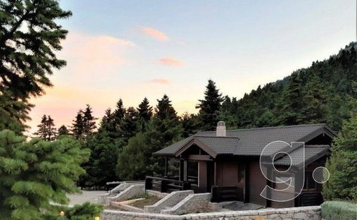 Villa in Arachova, Thessaly and Central Greece, Griechenland 1