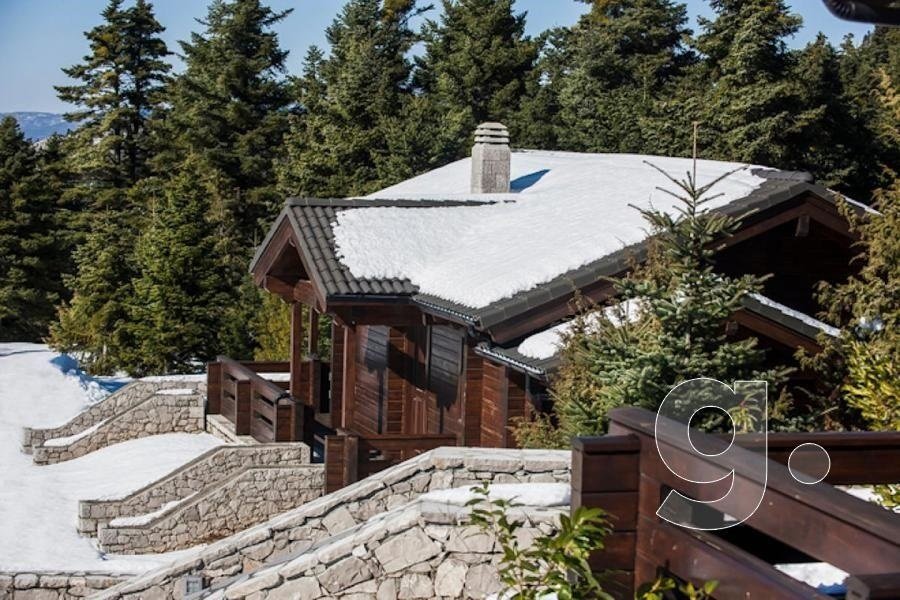 Villa in Arachova, Thessaly and Central Greece, Greece 4 - 13831700