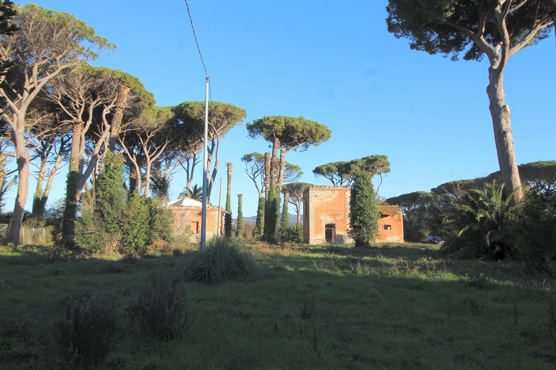 Estate in Marina di Castagneto Carducci, Tuscany, Italy 1 - 13838598