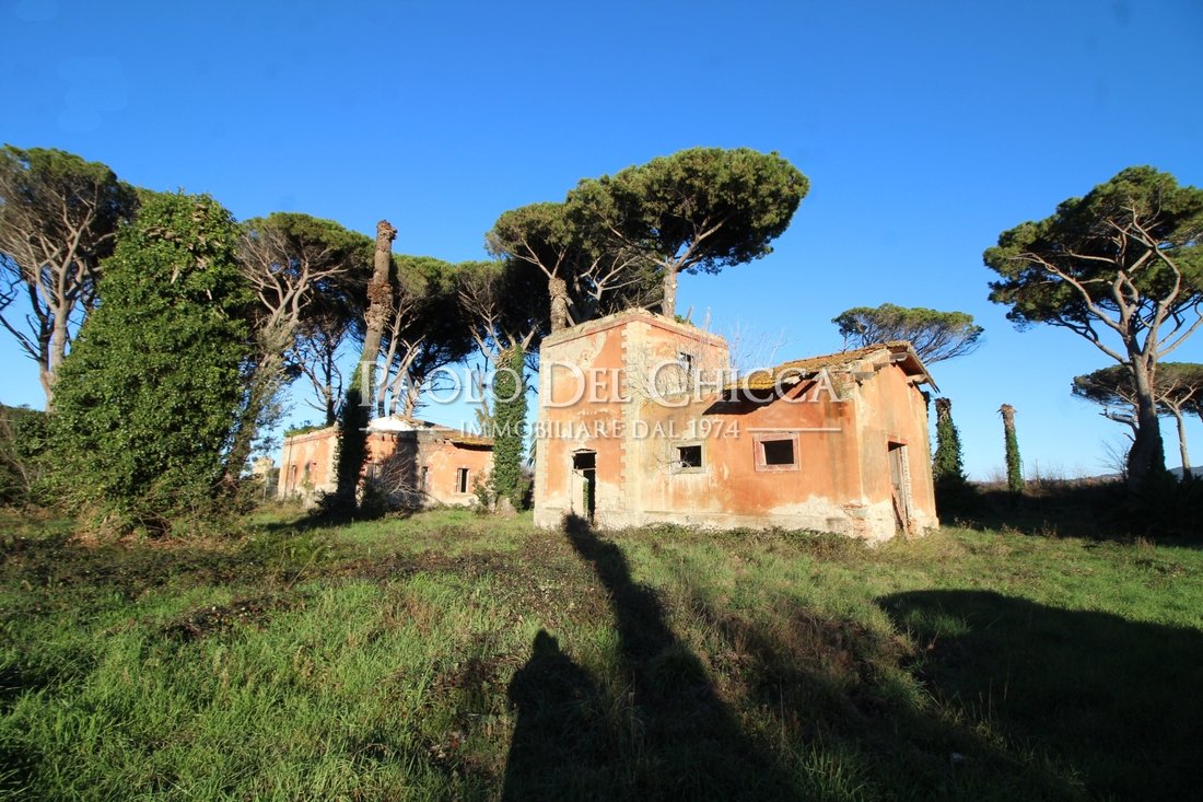 Estate in Marina di Castagneto Carducci, Tuscany, Italy 4 - 13838598