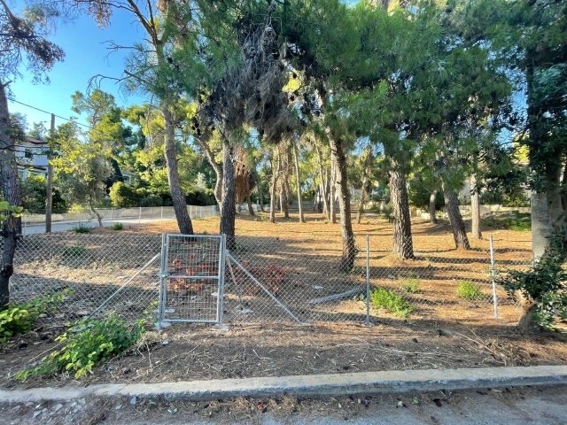 Land in Makronisos, Aegean, Greece 4 - 13837360