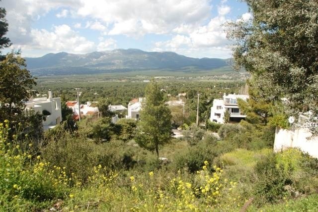 Land in Ekali, Attica, Greece 1 - 13837169