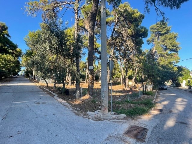 Land in Makronisos, Aegean, Greece 1 - 13837360