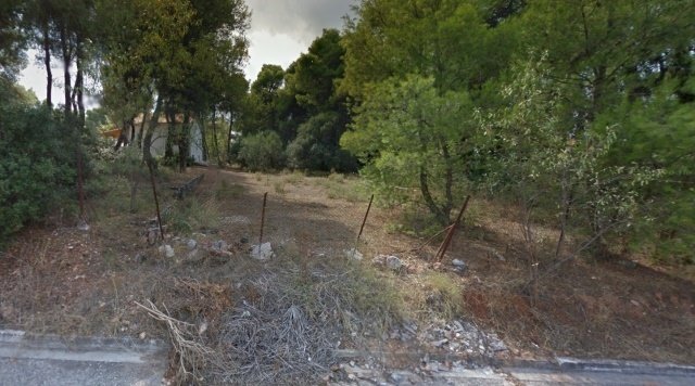 Land in Dionysos, Attica, Greece 1 - 13837196