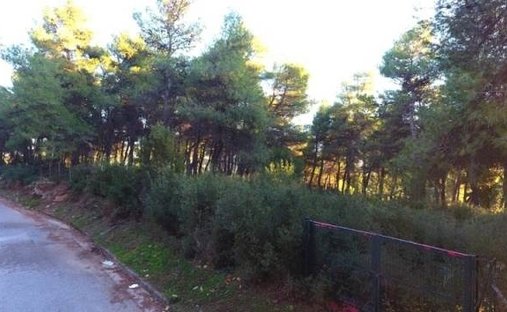 Land in Dionysos, Attica, Greece 1