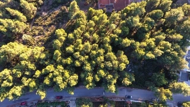 Land in Dionysos, Attica, Greece 5 - 13837164