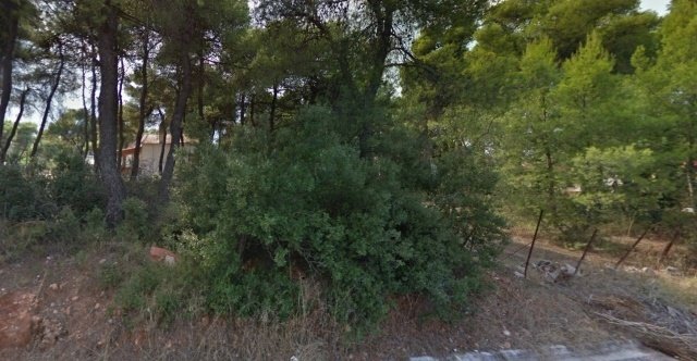 Land in Dionysos, Attica, Greece 2 - 13837196