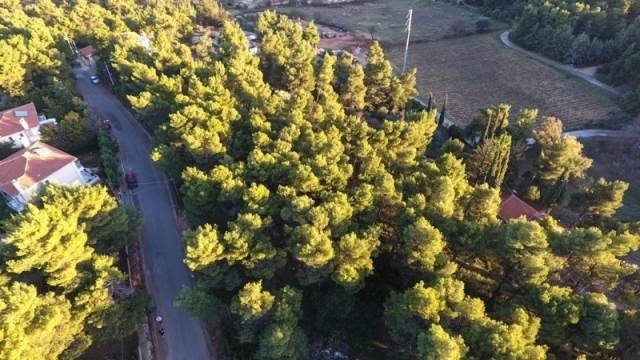 Land in Dionysos, Attica, Greece 4 - 13837164