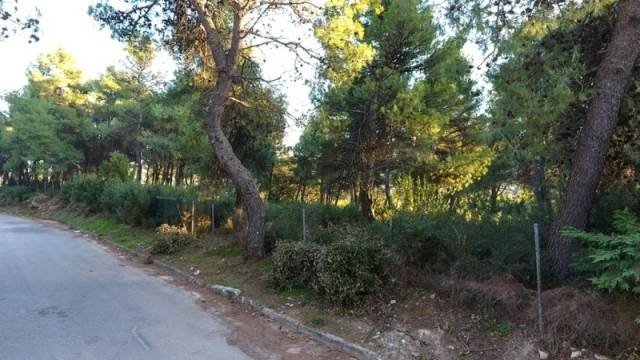Land in Dionysos, Attica, Greece 2 - 13837164