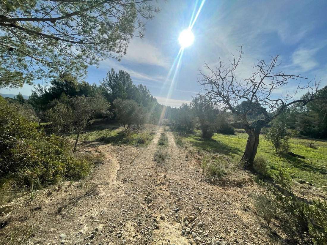 Finca in Calvia, Balearic Islands, Spain 4 - 13835630