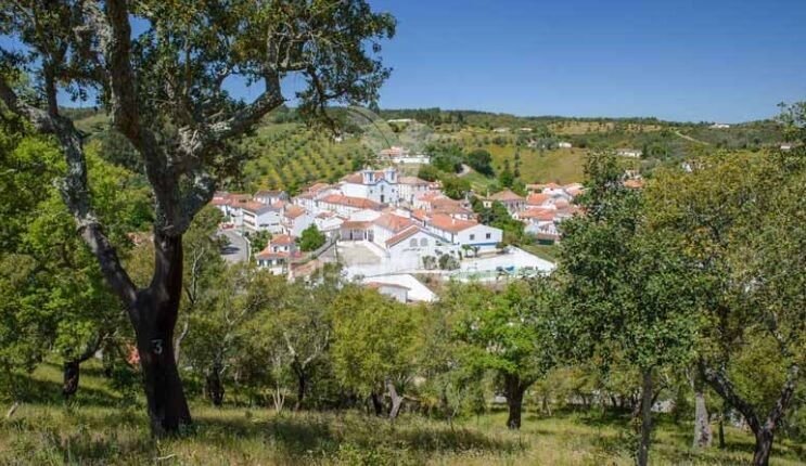Land in Sao Martinho das Amoreiras, Beja District, Portugal 5 - 13776685