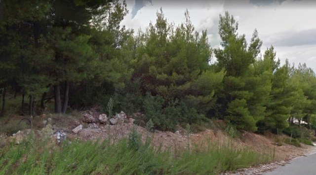 Land in Dionysos, Attica, Greece 1 - 13837213