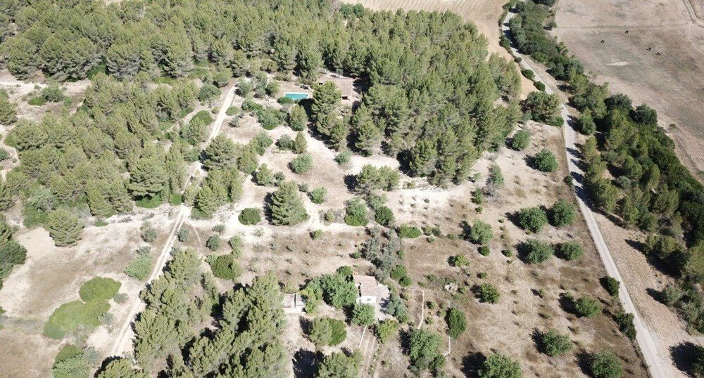 Finca in Calvia, Balearic Islands, Spain 5 - 13835630