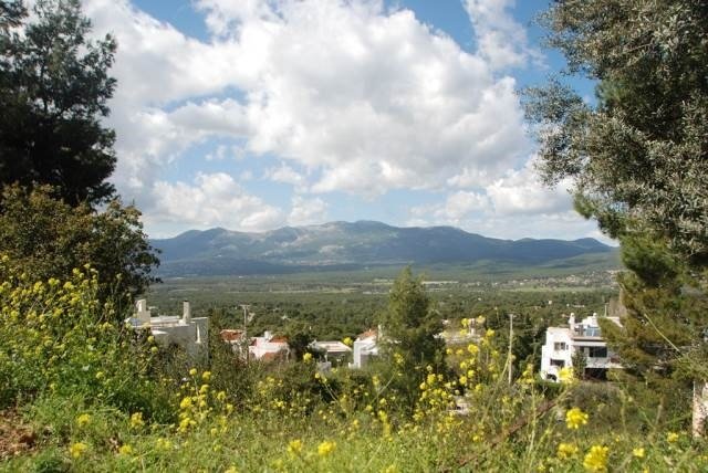 Land in Ekali, Attica, Greece 2 - 13837169