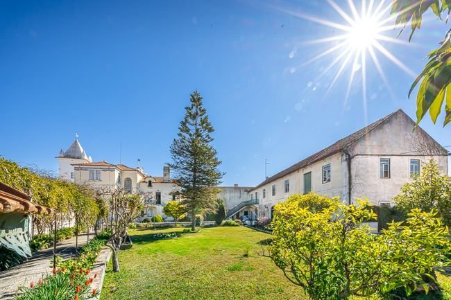 House in Alcanena e Vila Moreira, Santarem District, Portugal 5 - 13838761
