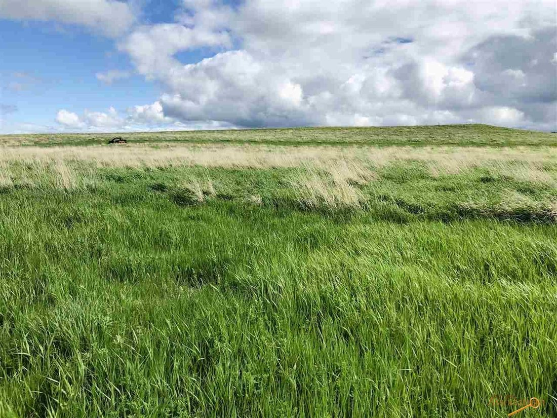Terrain à Belle Fourche, Dakota du Sud, États-Unis 2 - 13839594