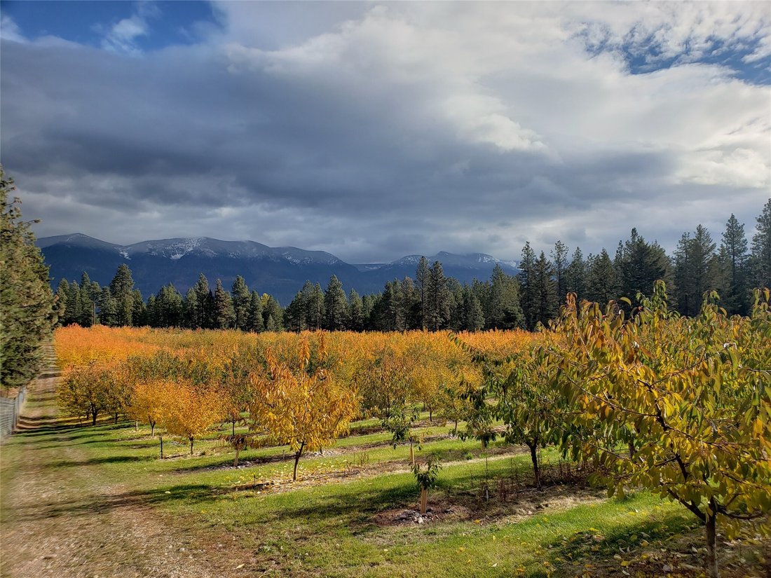 Land in Polson, Montana, United States 3 - 13841497