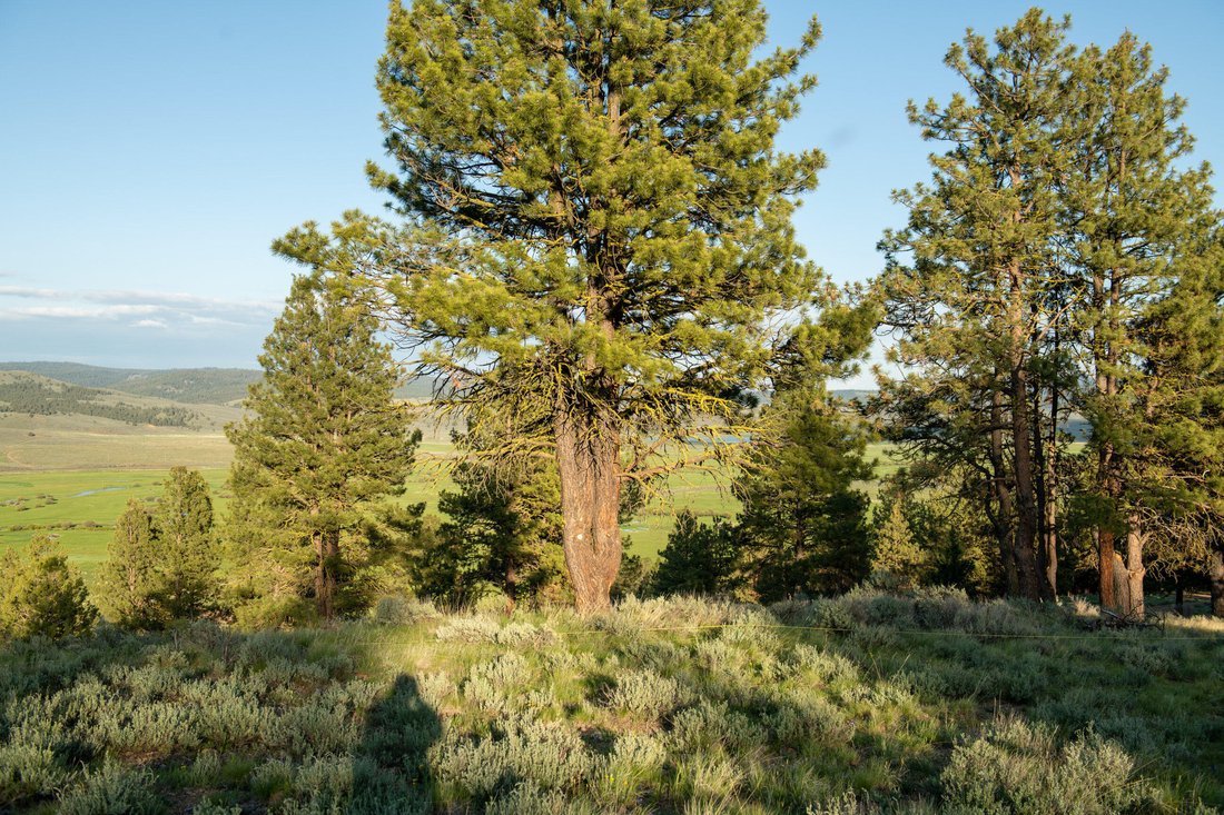 Seneca Land In Seneca, Oregon, United States For Sale (13840167)