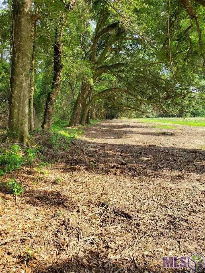 Ponchatoula Land In Ponchatoula, Louisiana, United States For Sale