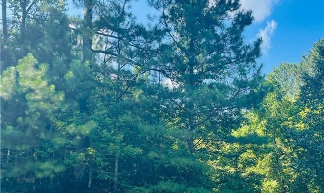 Ball Ground Land In Cumming, United States For Sale (13840446)