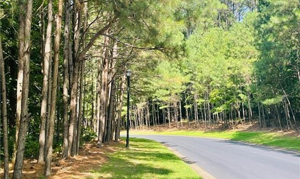 Ball Ground Land In Cumming, United States For Sale (13840459)