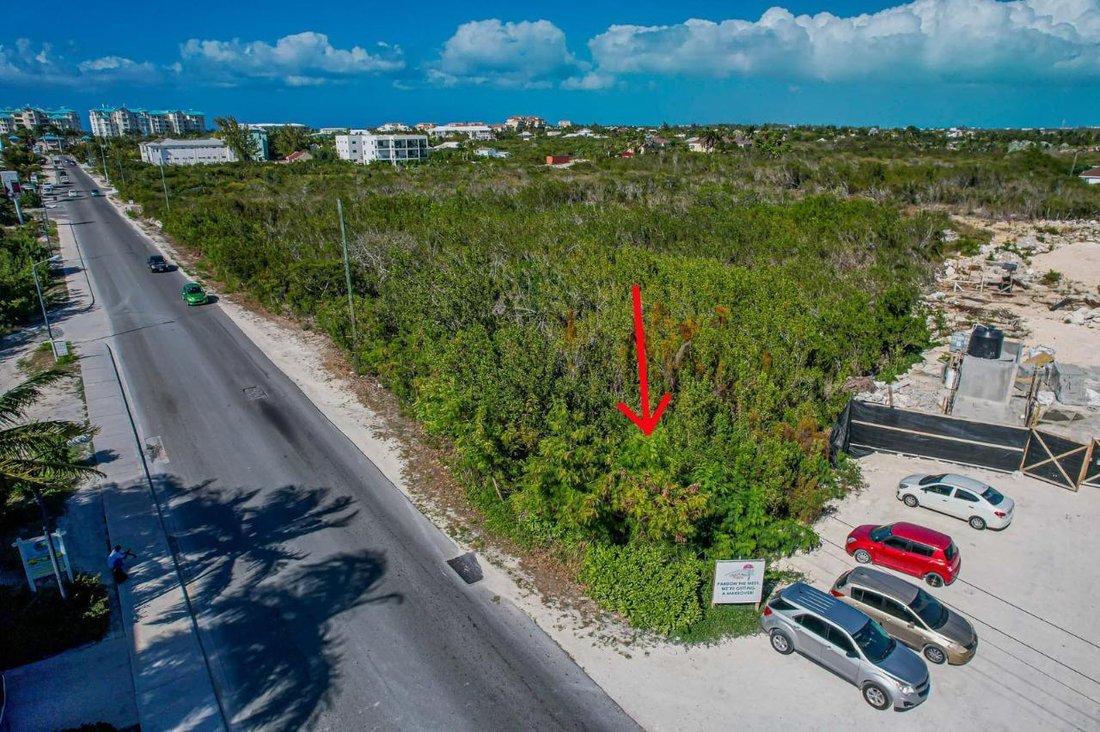 Terrain en Grace Bay, Caicos Islands, Îles Turks et Caïques 2 - 13839764
