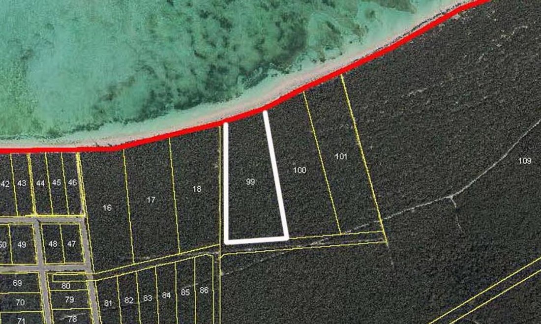 Land in Turks and Caicos Islands 1 - 13840452