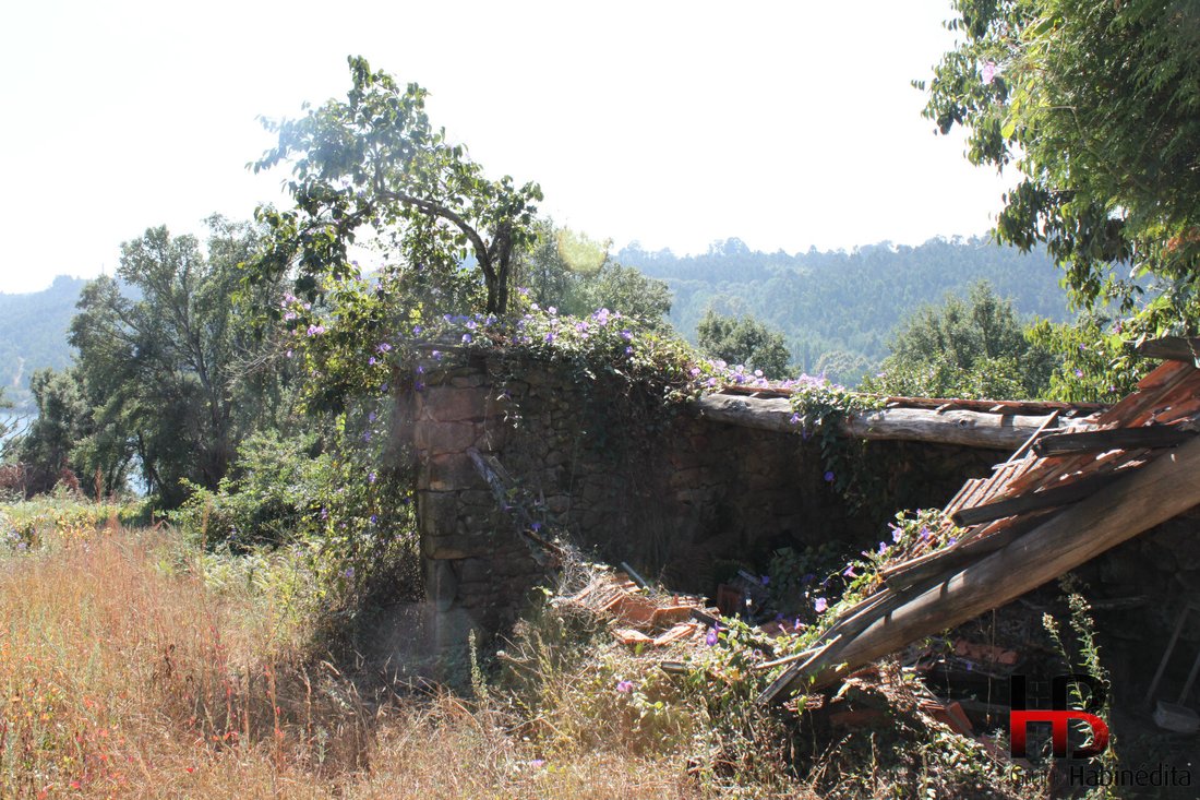 Farm Ranch in Gondomar (Sao Cosme), Valbom e Jovim, Porto District, Portugal 3 - 11167712