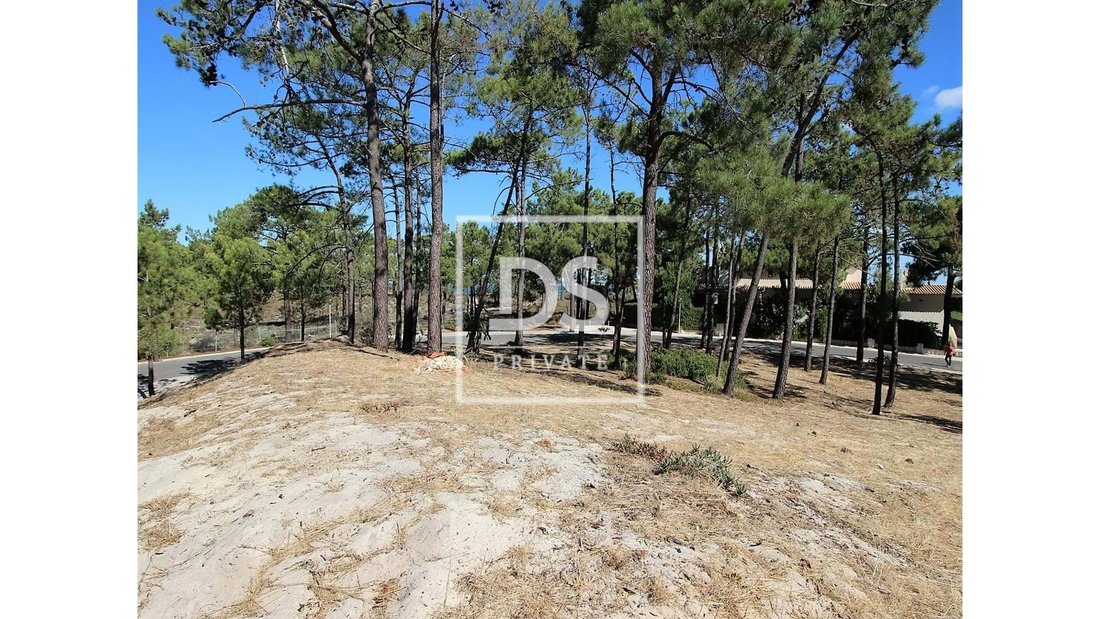 Land in Carvalhal, Setubal, Portugal 5 - 13824898