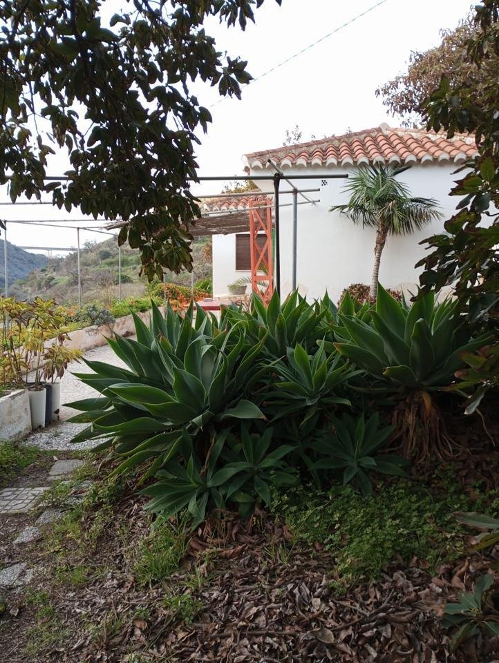Country House in Almunecar, Andalusia, Spain 2 - 13854738