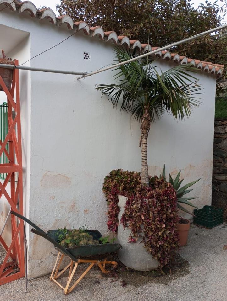 Country House in Almunecar, Andalusia, Spain 3 - 13854738