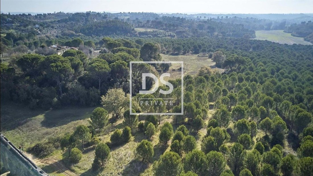 Land in Carregueiros, Santarem District, Portugal 4 - 13824887