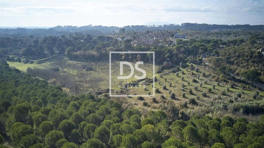 Land in Carregueiros, Santarem District, Portugal 3 - 13824887