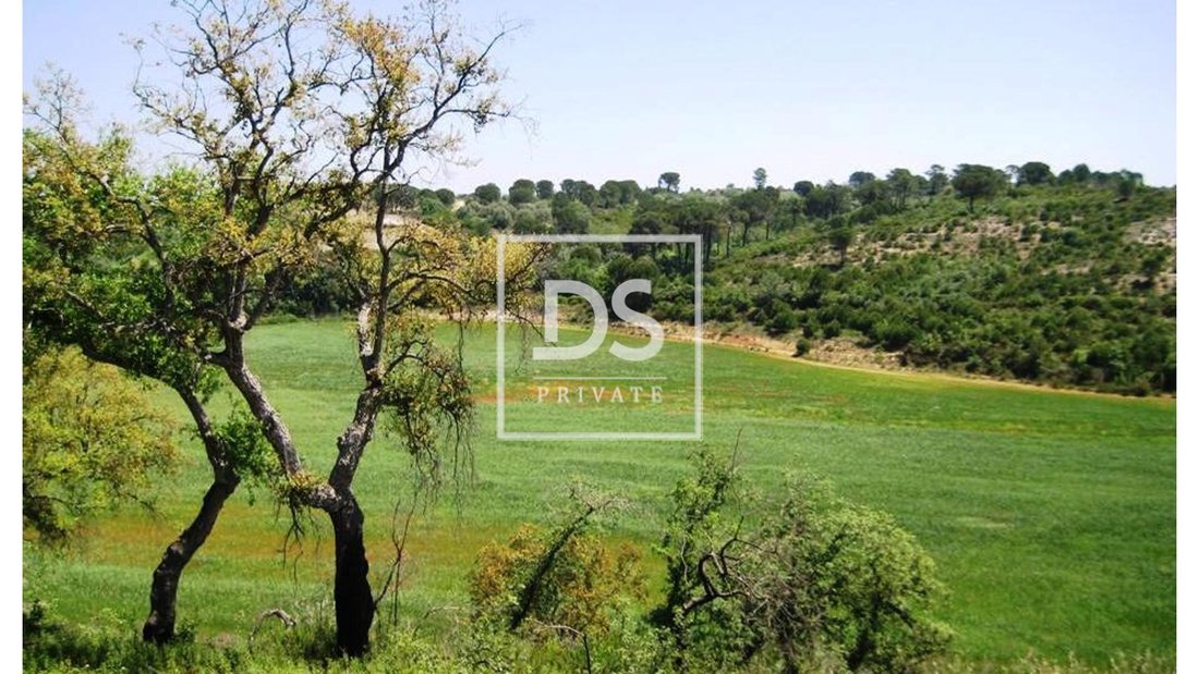 Land in Carregueiros, Santarem District, Portugal 1 - 13824887