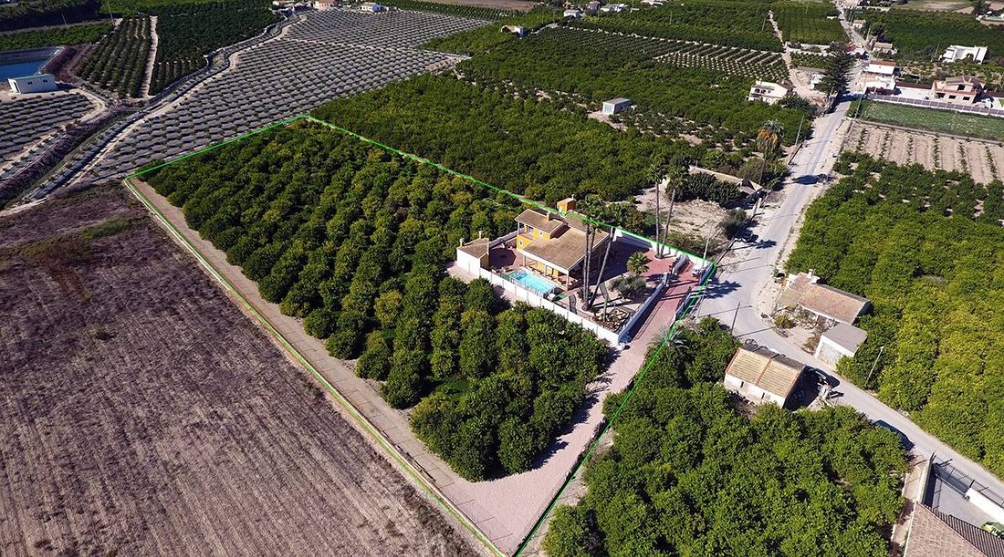 Finca in Orihuela, Valencian Community, Spain 5 - 13856156