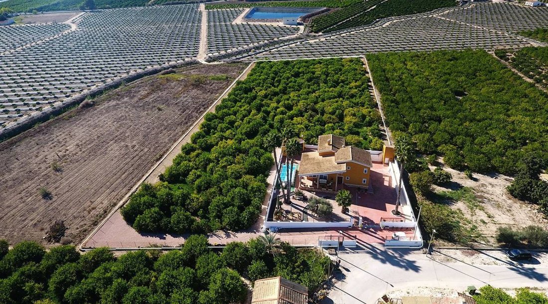 Finca in Orihuela, Valencian Community, Spain 4 - 13856156