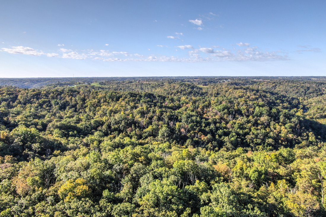 Land in Foster, Kentucky, United States 3 - 11213565