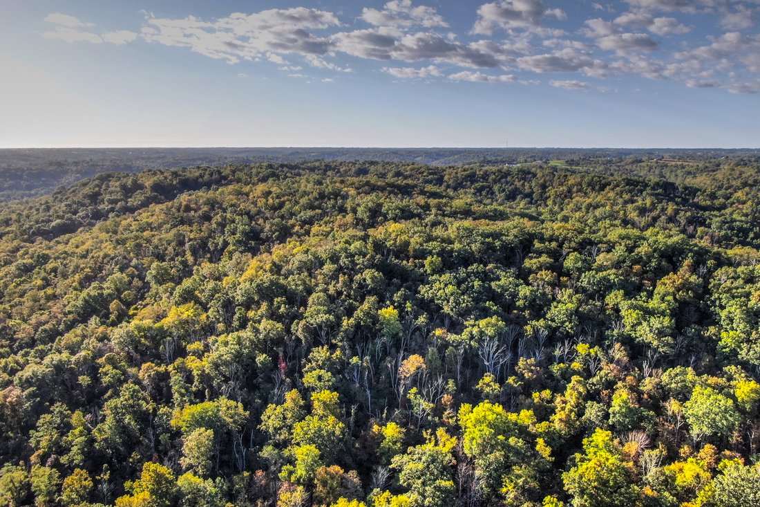 Land in Foster, Kentucky, United States 2 - 11213565
