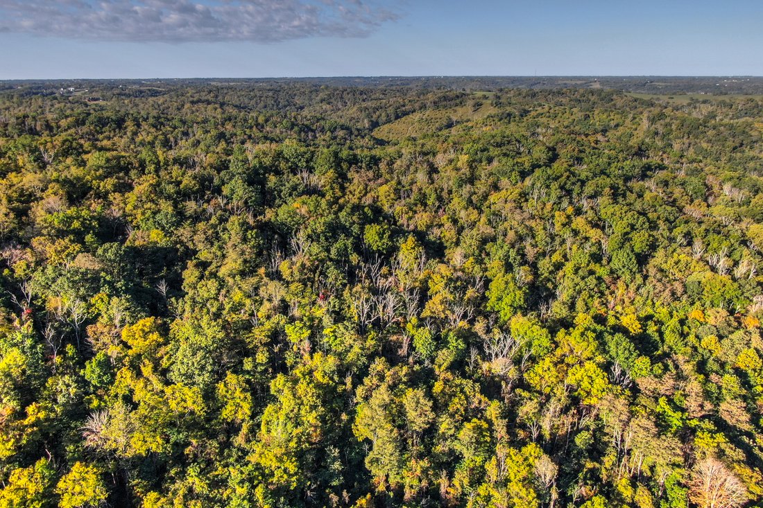 Land in Foster, Kentucky, United States 4 - 11213565