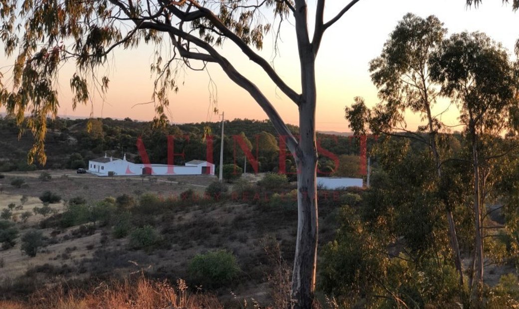 Estate With House T4 In Martim Longo In Alcoutim, Portugal For Sale