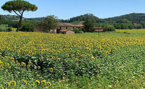 Farm Ranch in Montaione, Tuscany, Italy 1
