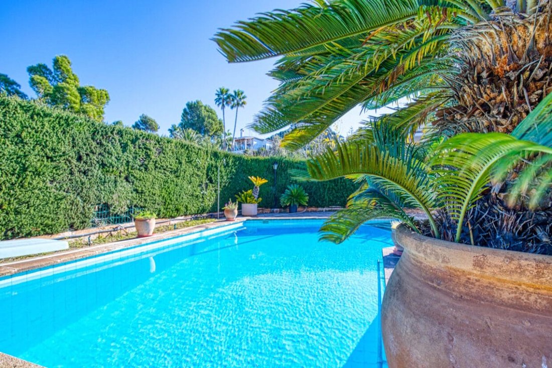 Villa in Santa Ponsa, Balearic Islands, Spain 1 - 13864605